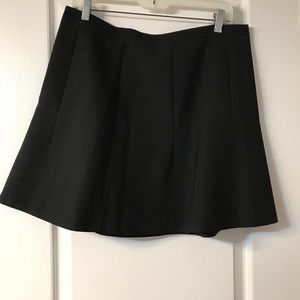 Jcrew skirt